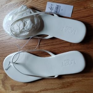 NWT Loft White slides
